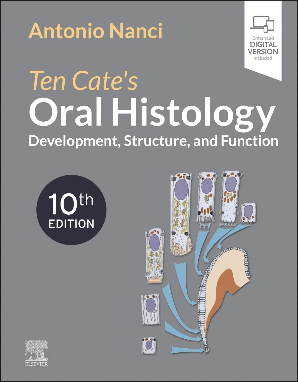 Ten cates oral histology development structure and function with access code 10ed (pb 2025)