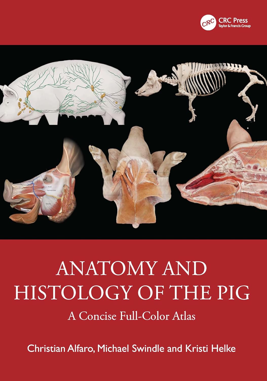 Anatomy And Histology Of The Pig A Concise Full Color Atlas (Hb 2026)