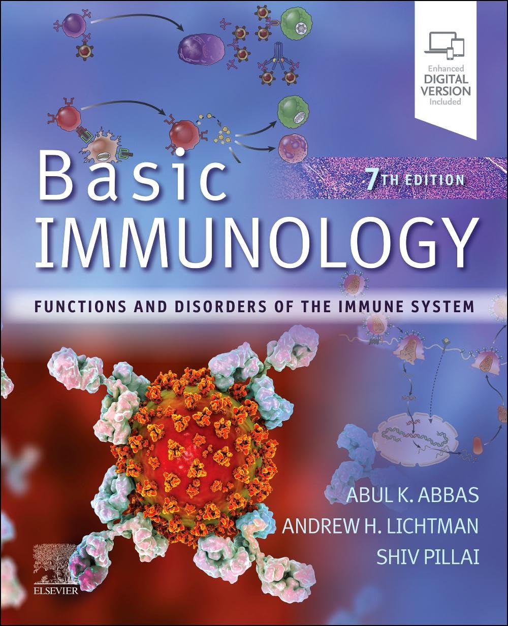 Basic Immunology Functions And Disorders Of The Immune System With Access Code 7Ed (Pb 2024)