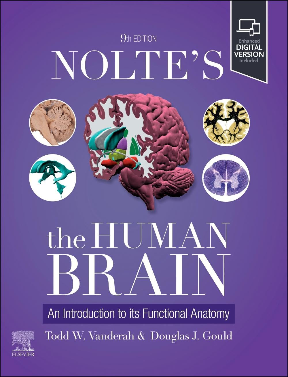 Nolte's The Human Brain: An Introduction to its Functional Anatomy -9E