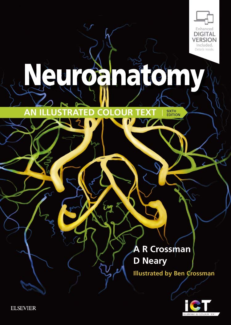Neuroanatomy: An Illustrated Colour Text, 6E