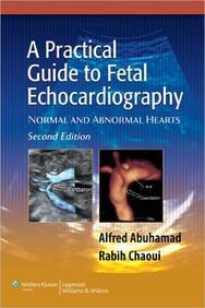 A Practical Guide To Fetal Echocardiography 2/Ed (Old Edition)