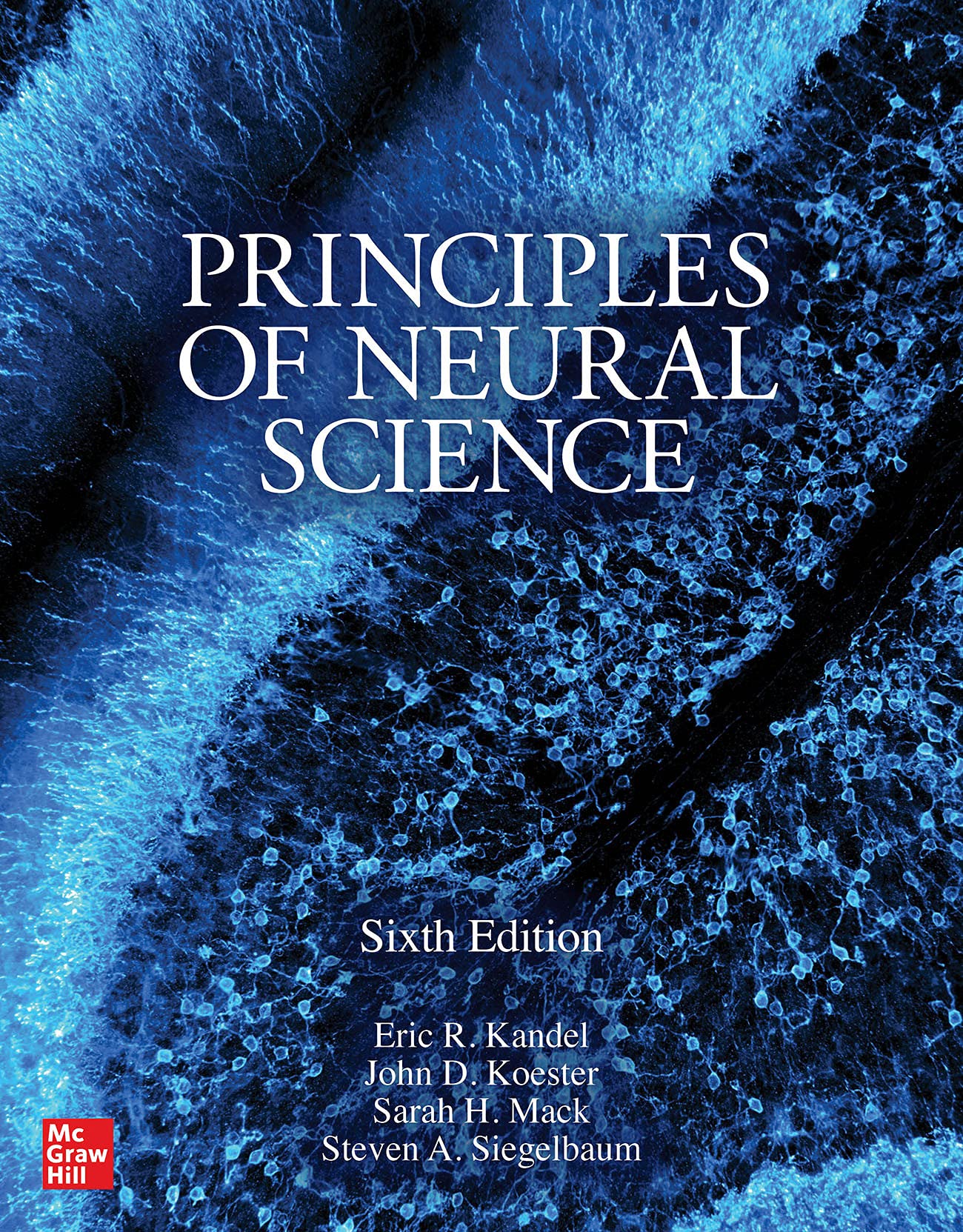 Principles Of Neural Science 6Ed