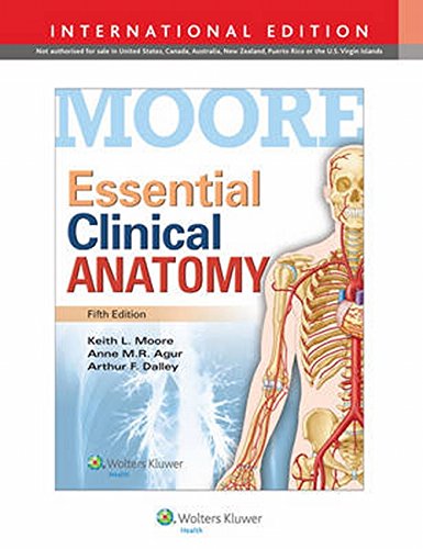 Essential Clinical Anatomy 5Ed (Ie) (Pb 2015) (Old Edition)