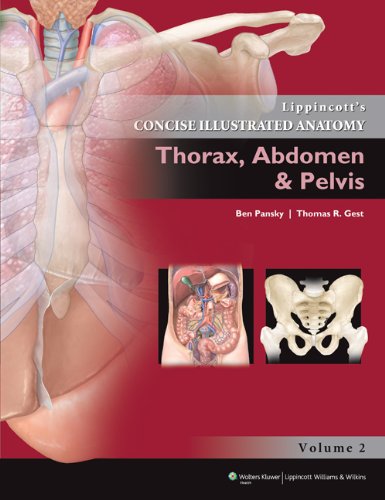 Lippincott Concise Illustrated Anatomy Thorax Abdomen And Pelvis Vol 2 (Pb 2013) (Old Edition)