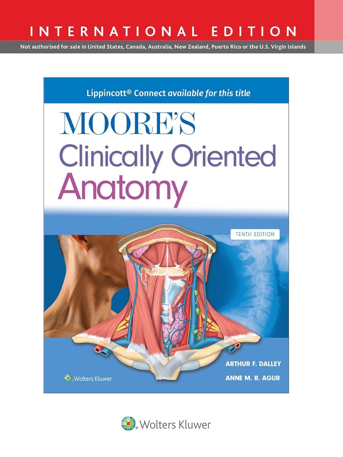 Moore's Clinically Oriented Anatomy Tenth, International Edition edition