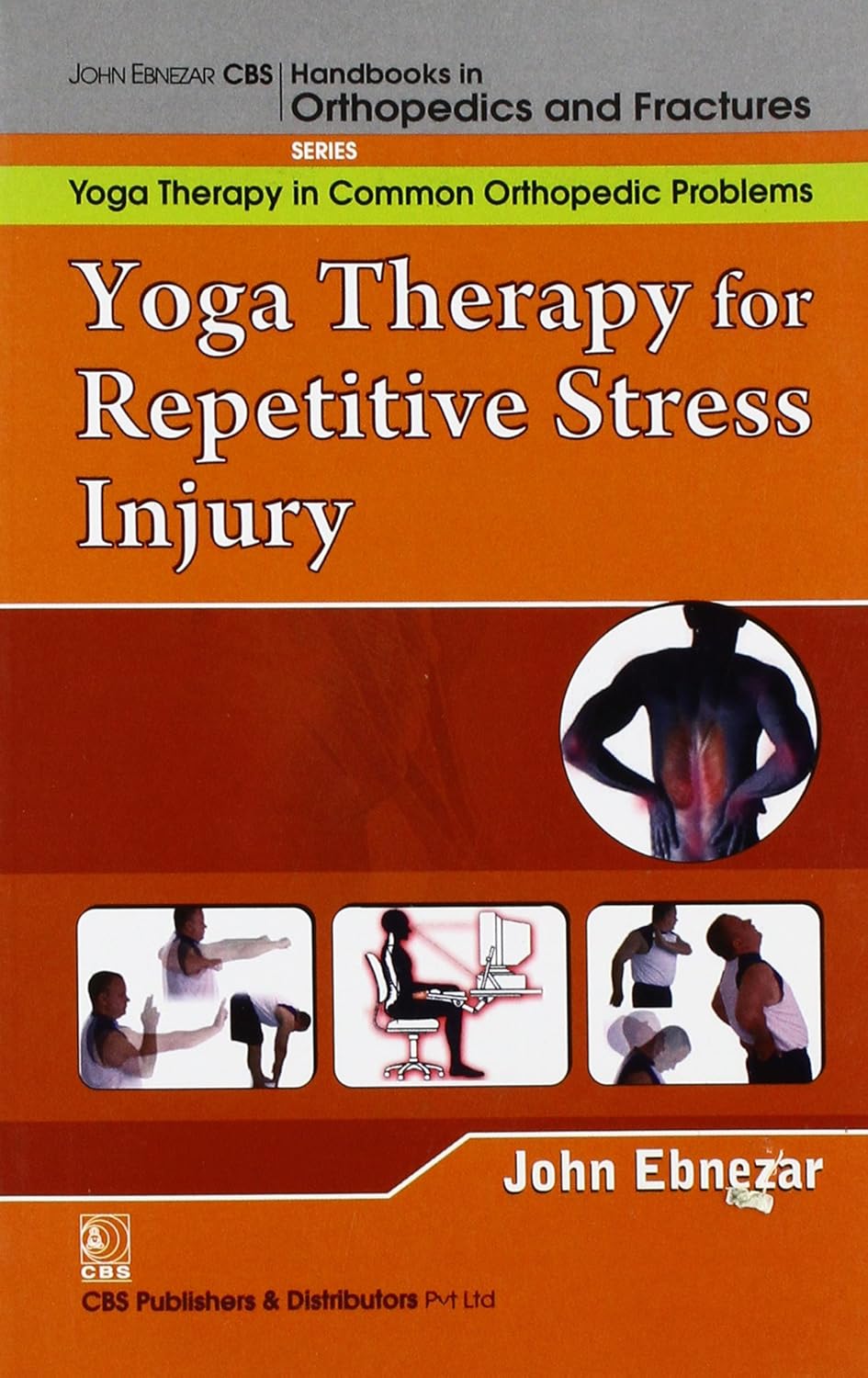 Yoga Therapy For Repetitive Stress Injury (Handbooks In Orthopedics And Fractures Series Vol 101 Yoga Therapy In Common Orthopedic Problems (2012)