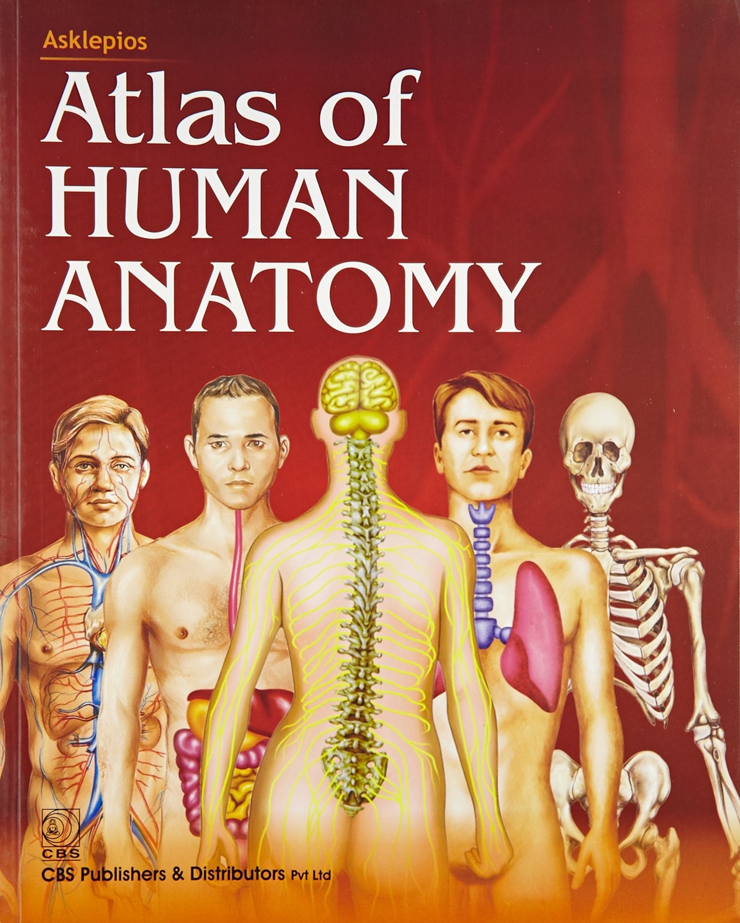 Asklepios Atlas Of Human Anatomy Sie (Pb 2014)
