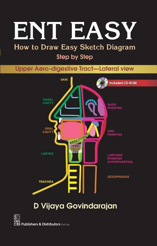 Ent Easy How To Draw Easy Sketch Diagram Step By Step (Pb 2019)