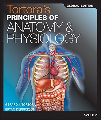 Tortora'S Principles Of Anatomy & Physiology - Global Edition