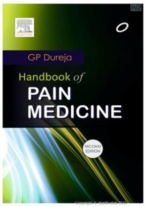 Handbook Of Pain Management, 2E