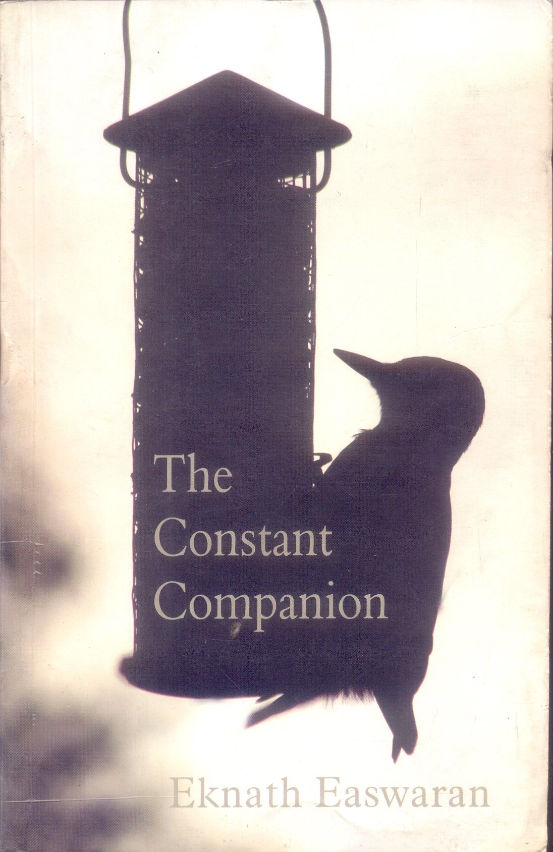 The Constant Companion