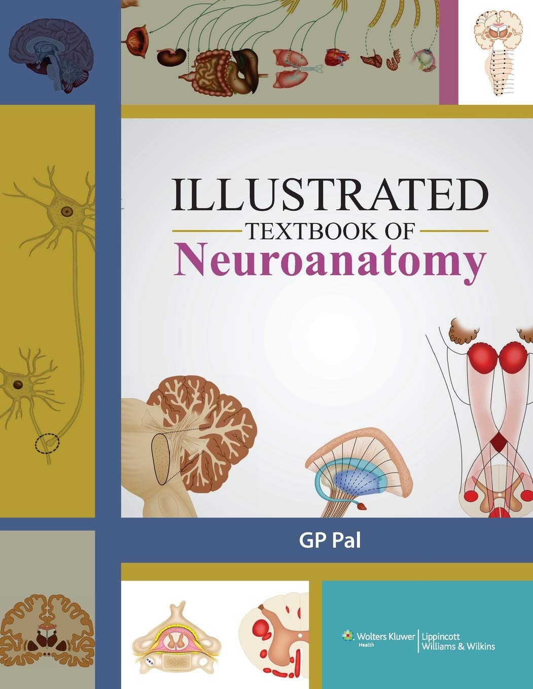 Illustrated Textbook Of Neuroanatomy