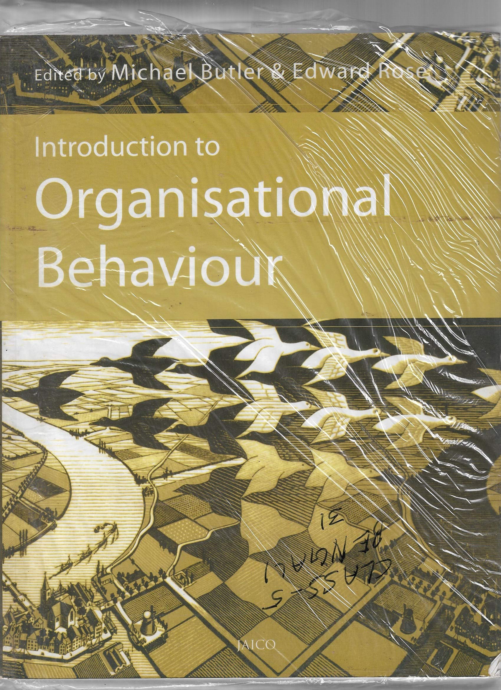 Introduction To Organisational Behaviour