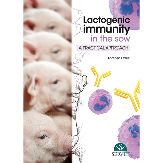 Lactogenic immunity in the sow: a practical approach