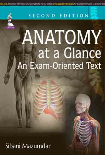 Anatomy At A Glance An Exam-Oriented Text