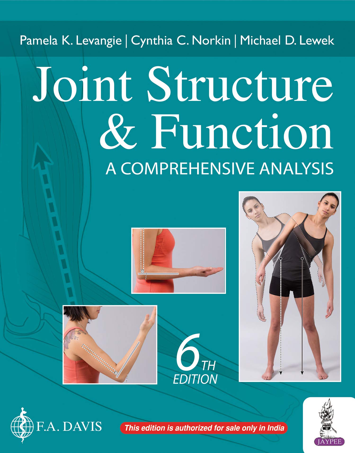 Joint Structure And Function A Comprehensive Analysis 6 Ed