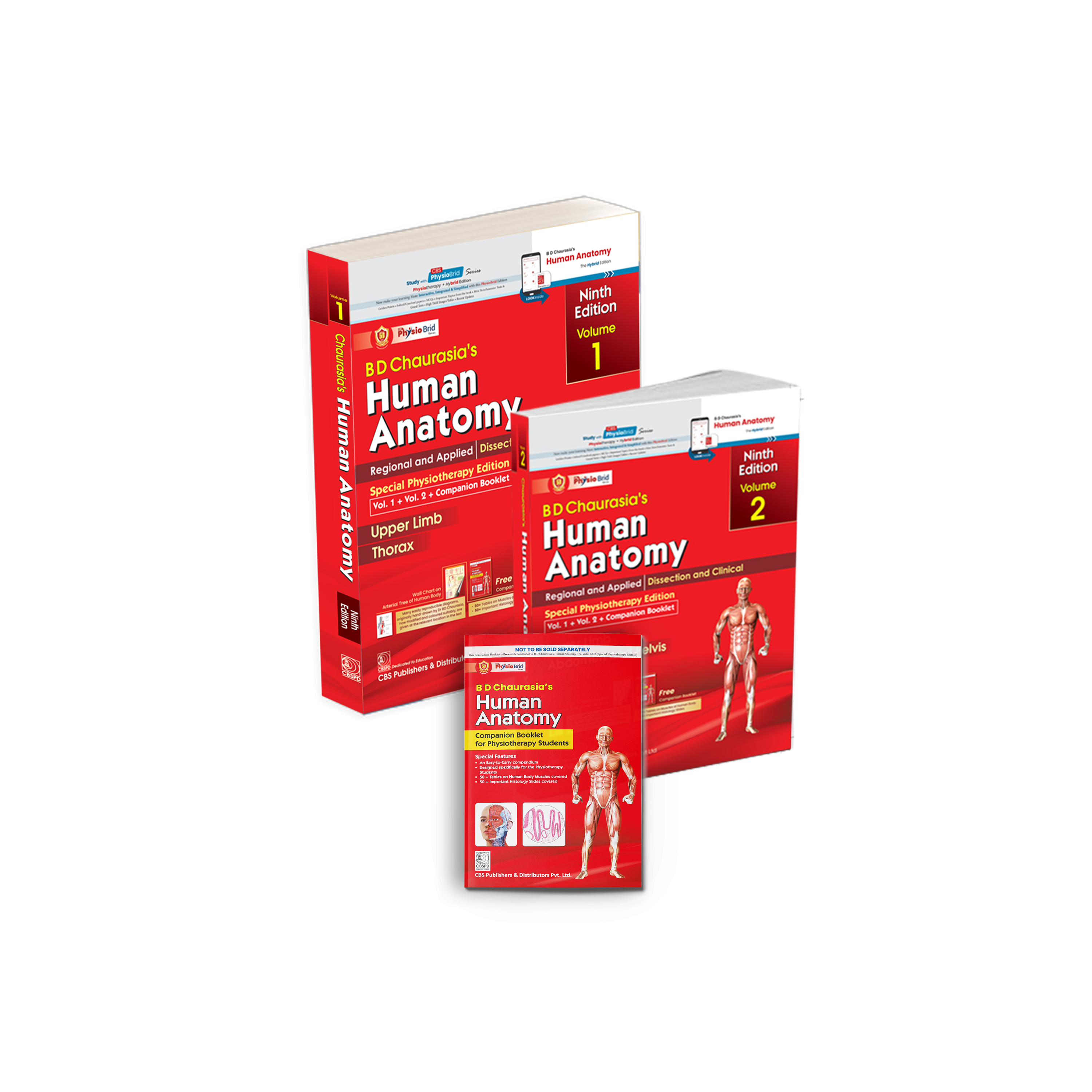 Combo Set of BD Chaurasia's Human Anatomy 9/e (Vol 1 + Vol 2 + Companion Booklet ) Special Physiotherapy Edition