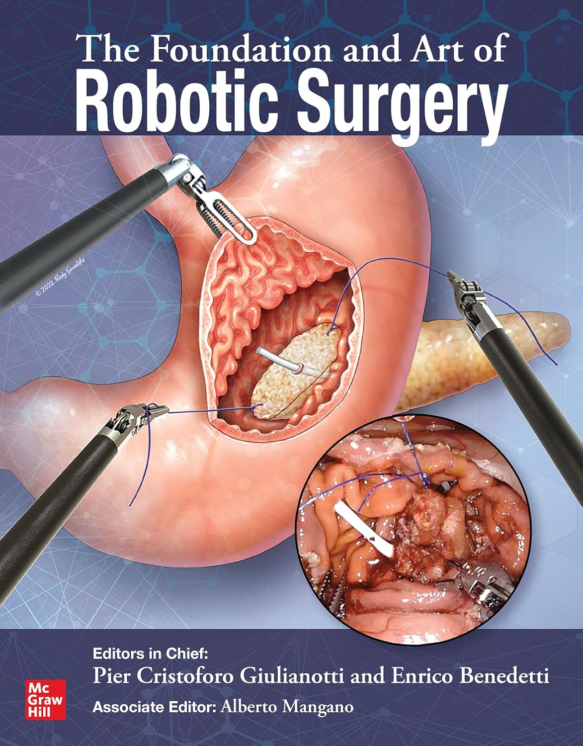 The Foundation And Art Of Robotic Surgery (Hb 2024)