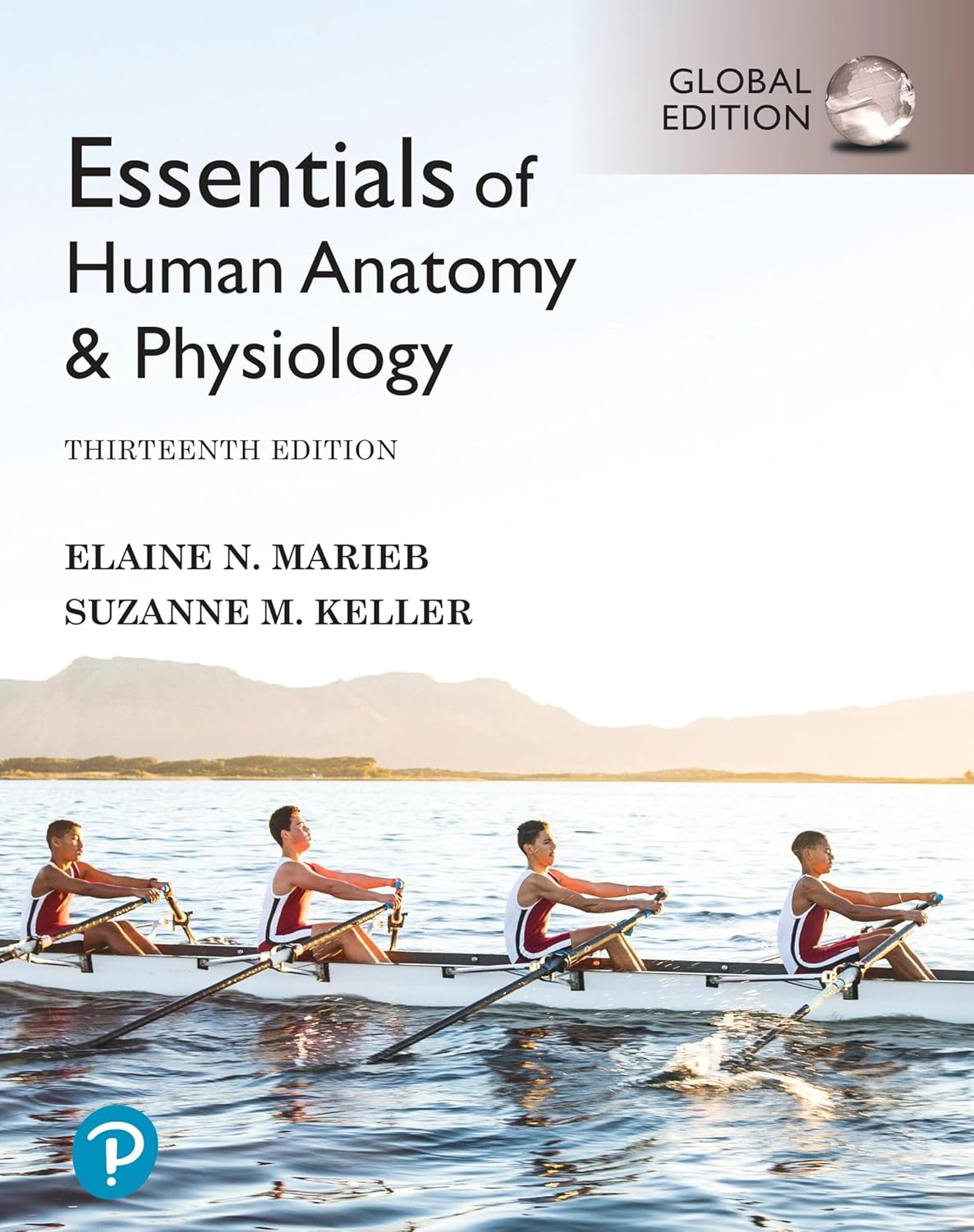 Essentials of Human Anatomy & Physiology, (13th Edition) | AIBH New Arrival