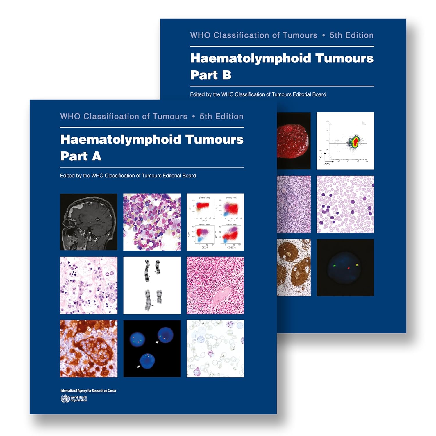 Haematolymphoid Tumours: WHO Classification of Tumours, Volume 11, 5th Edition